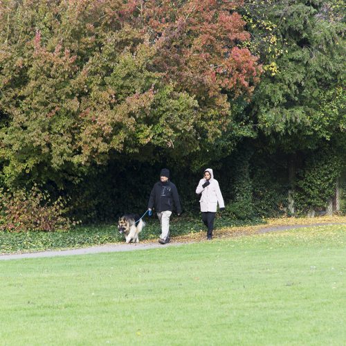 2016-11-07-Brent_Eton-Grove-Open-Space_Autumn_People-Walking-the-dog