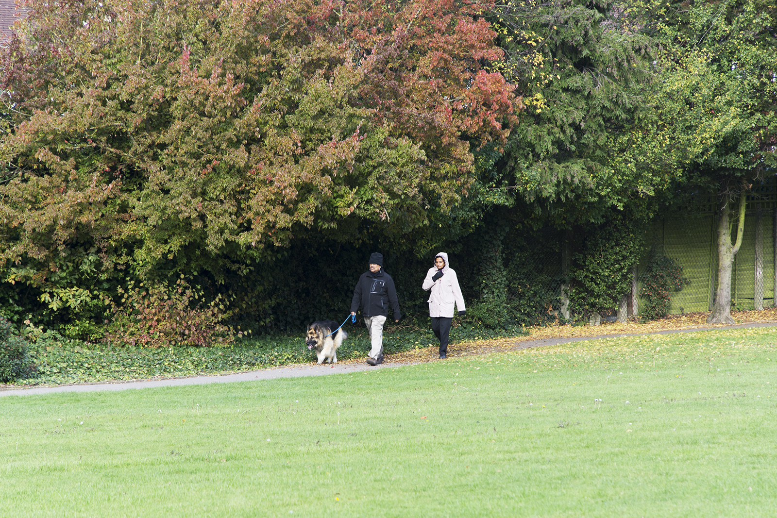 2016-11-07-Brent_Eton-Grove-Open-Space_Autumn_People-Walking-the-dog