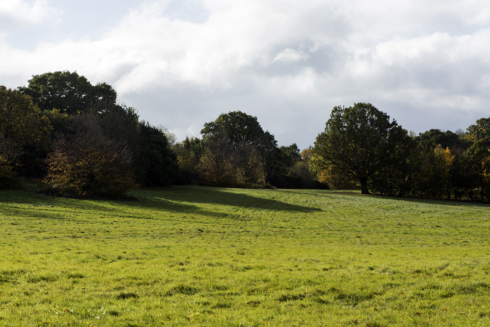 2016-11-07-Brent_Fryent-Country-Park_Autumn_Landscape-Across-the-Fields