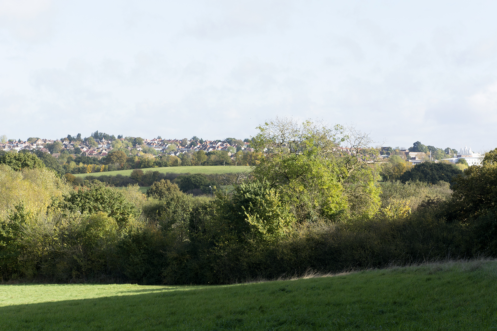 2016-11-07-Brent_Fryent-Country-Park_Autumn_Landscape-View-to-Neasden