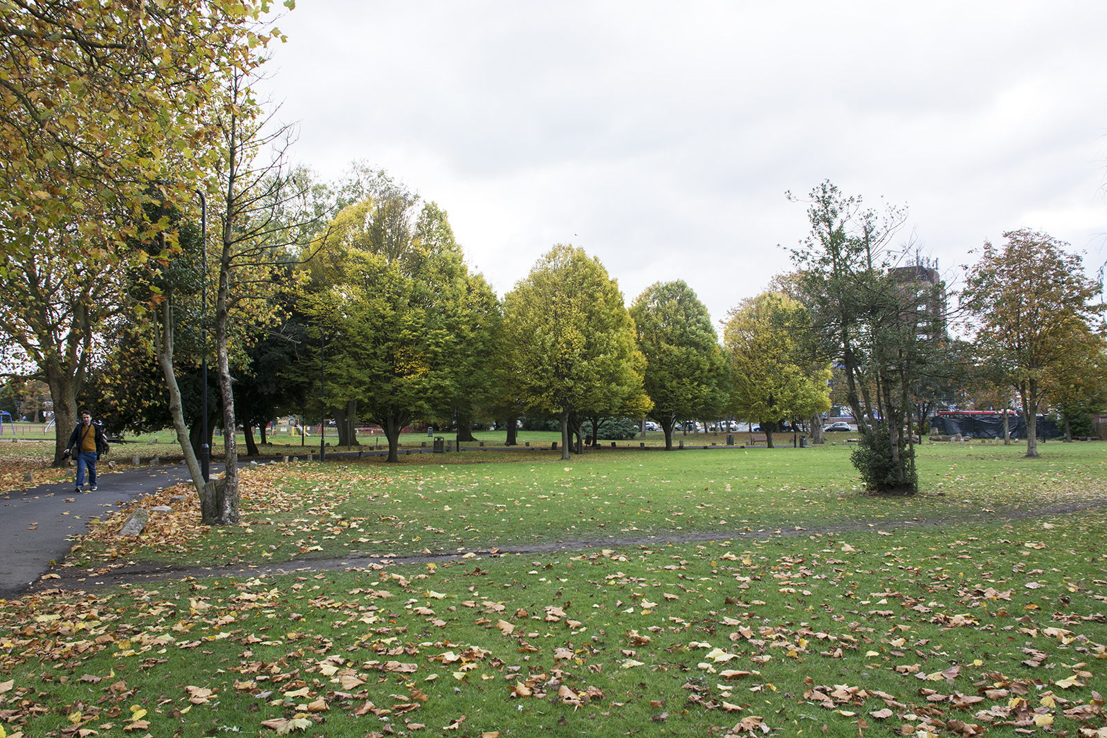 2016-11-07-Brent_Roe-Green_Autumn_Landscape-Trees