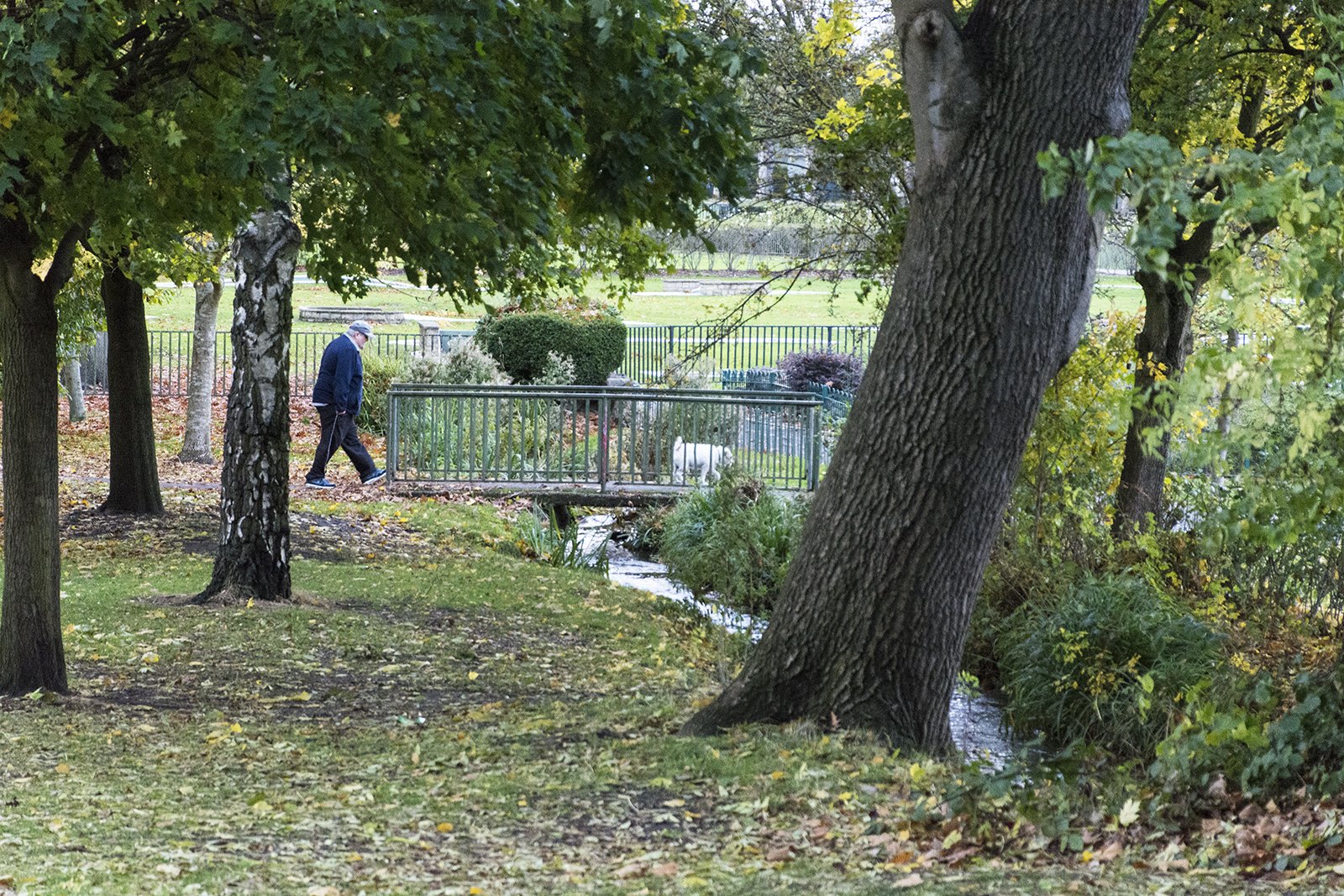 2016-11-07-Merton_Wimbledon-Park_Autumn_People-Last-walk-of-the-day