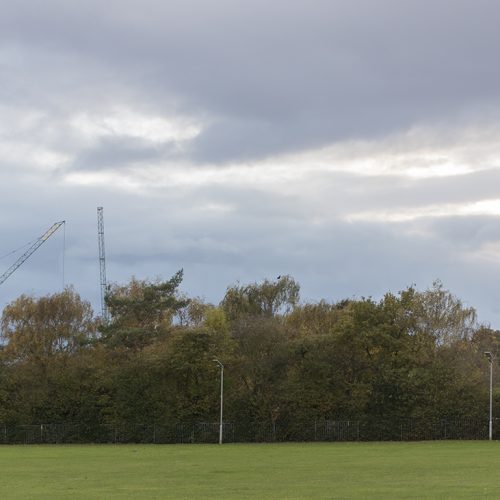 2016-11-09-Merton_Wimbledon-Park_Landscape_Cranes-over-AELTC