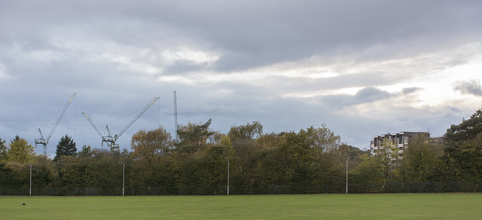 2016-11-09-Merton_Wimbledon-Park_Landscape_Cranes-over-AELTC