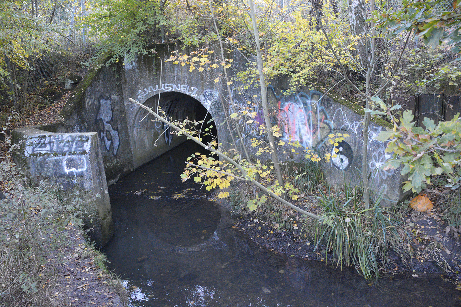 2016-11-11-Bromley_Autumn_Landscape_Major-Path-and-National-Trust-Loop-Petts-Wood-to-Hawkwood-Estate