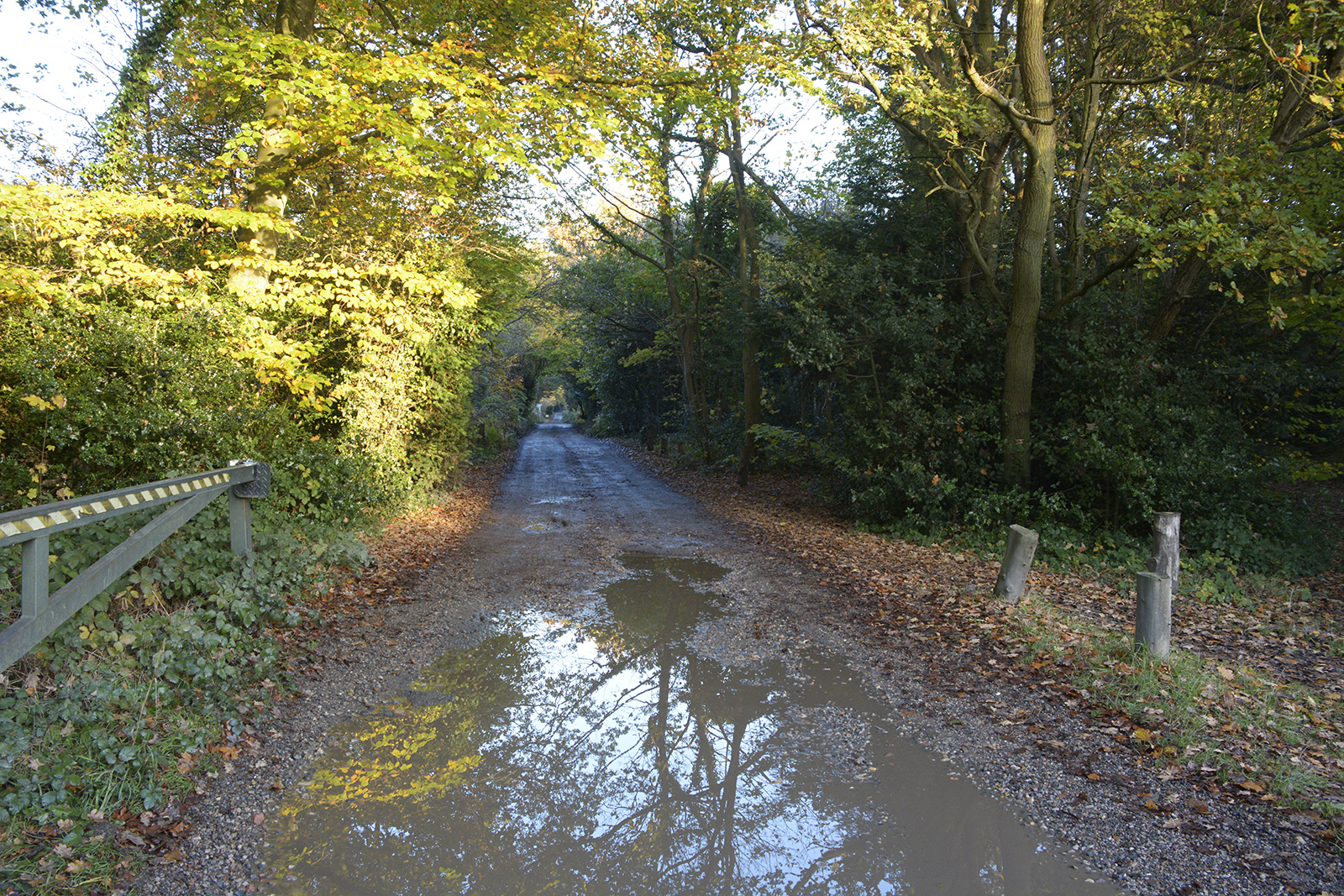 2016-11-11-Bromley_Autumn_Major-Paths_Heaths-and-Commons-Chislehurst-and-St-Pauls-Cray-Common