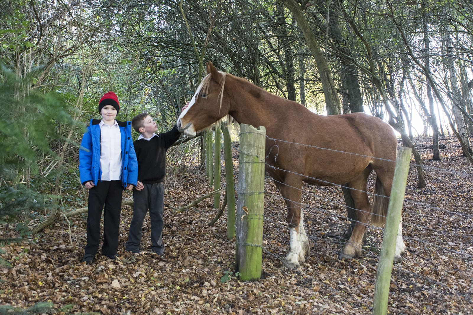2016-11-11-Bromley_Nature-Reserve_Autumn_People-and-Horses-Scadbury-Park-London-Loop
