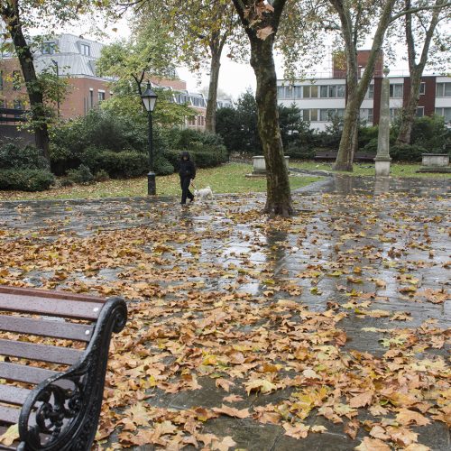 2016-11-12-Chelsea_Autumn_Landscape-Dog-walker-in-the-rain