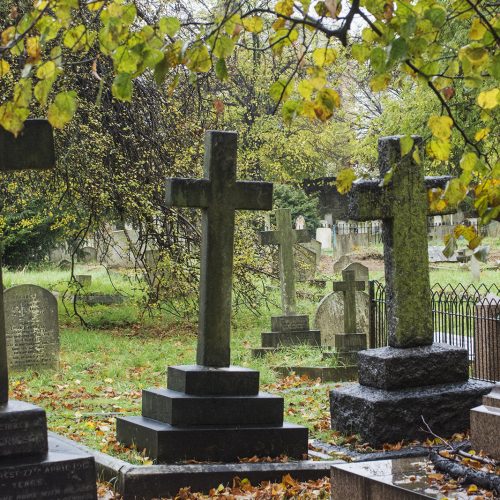 2016-11-12-Kensington-and-Chelsea_Brompton-Cemetery_Autumn_Landscape