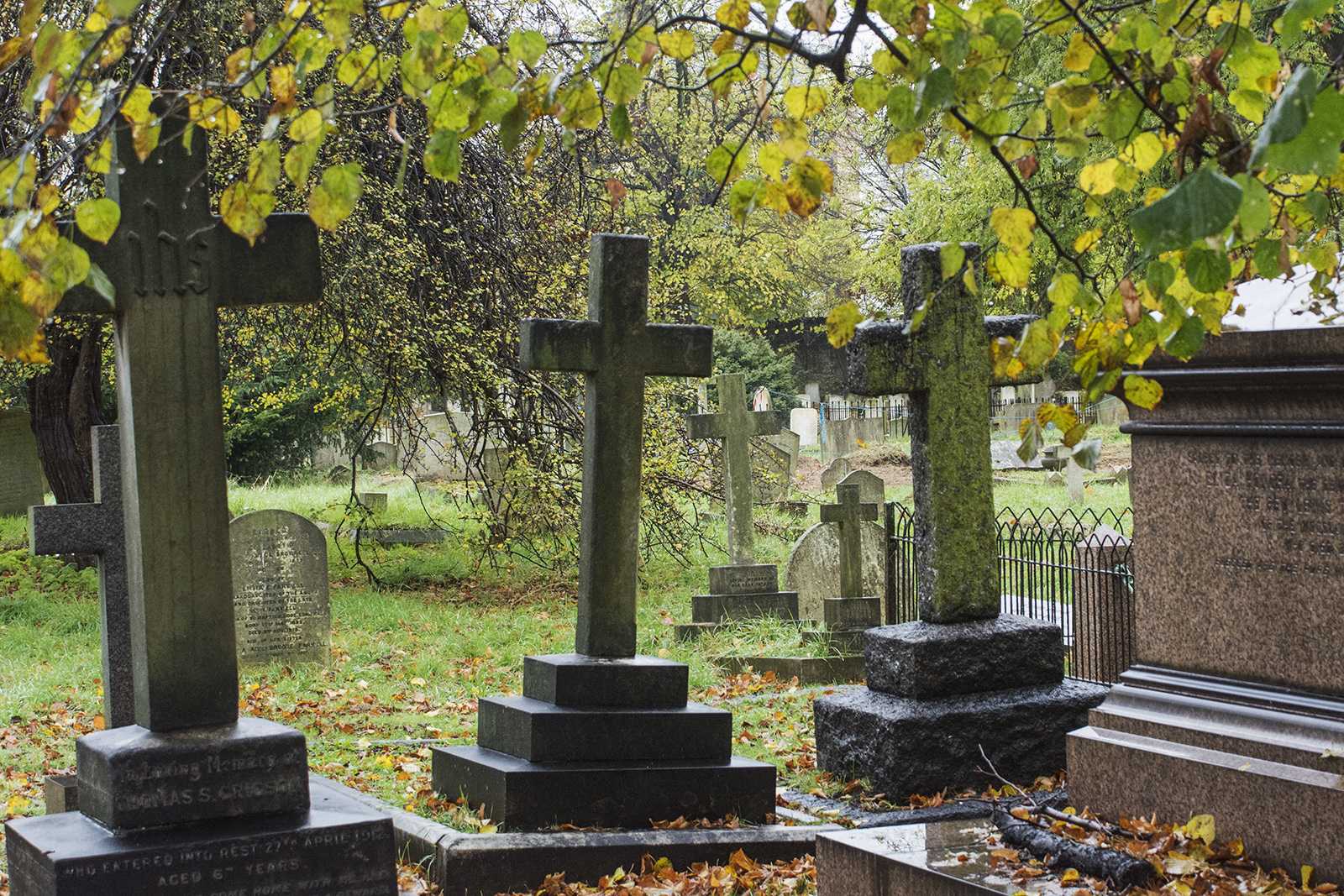 2016-11-12-Kensington-and-Chelsea_Brompton-Cemetery_Autumn_Landscape