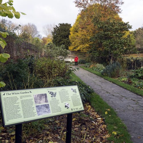 2016-11-14-Lambeth_Autumn_Formal-Gardens_Landscape-The-White-Gardens-at-The-Rookery