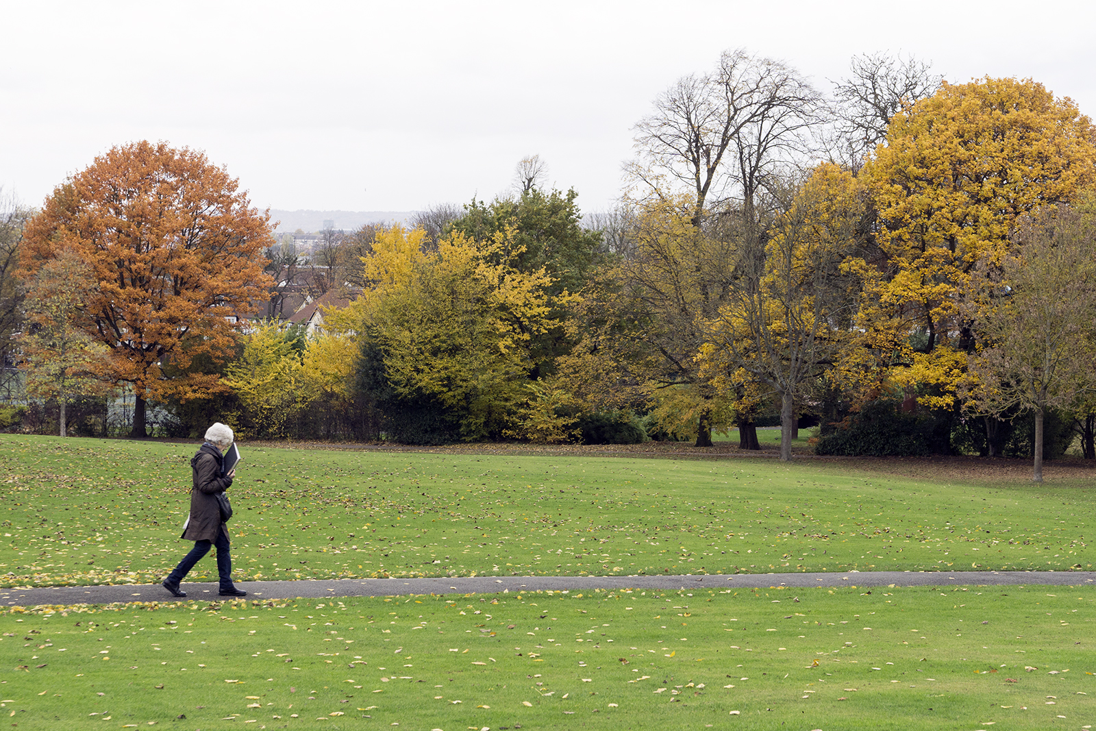 2016-11-16-Camden_Golders-Hill-Park_Landscape_Autumn