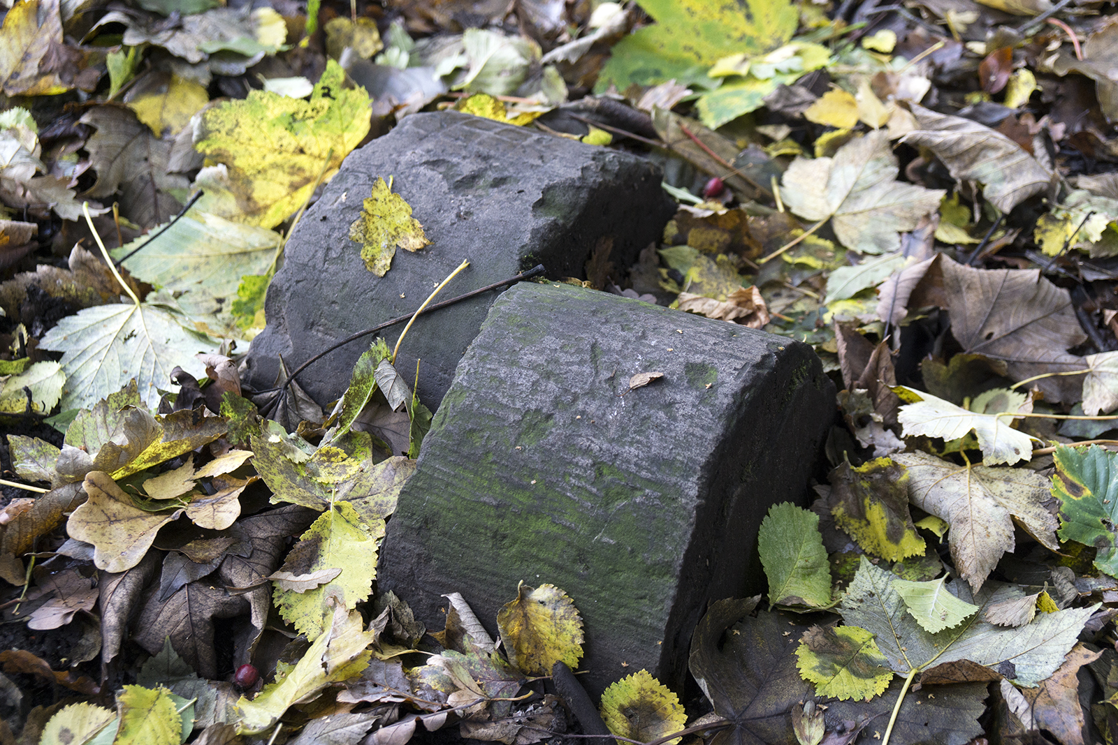 2016-11-16-Camden_Heath_Detail_Autumn-Boundary-Stones