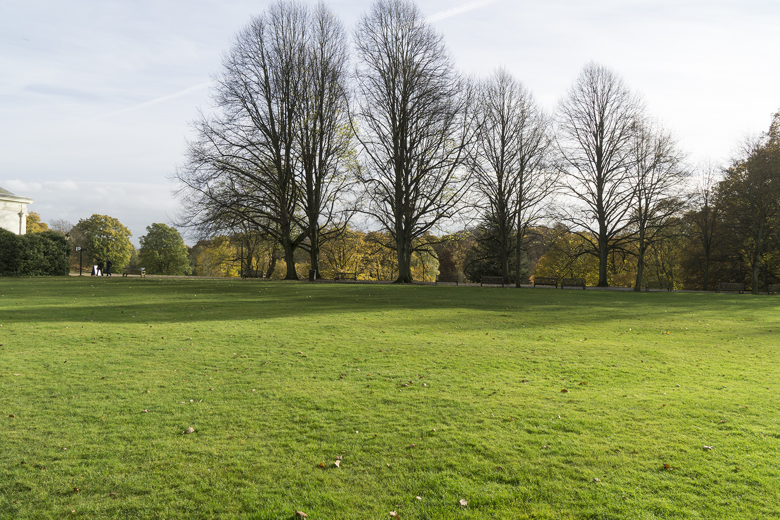 2016-11-16-Camden_Kenwood-House_Landscape_Autumn-View-across-the-gardens