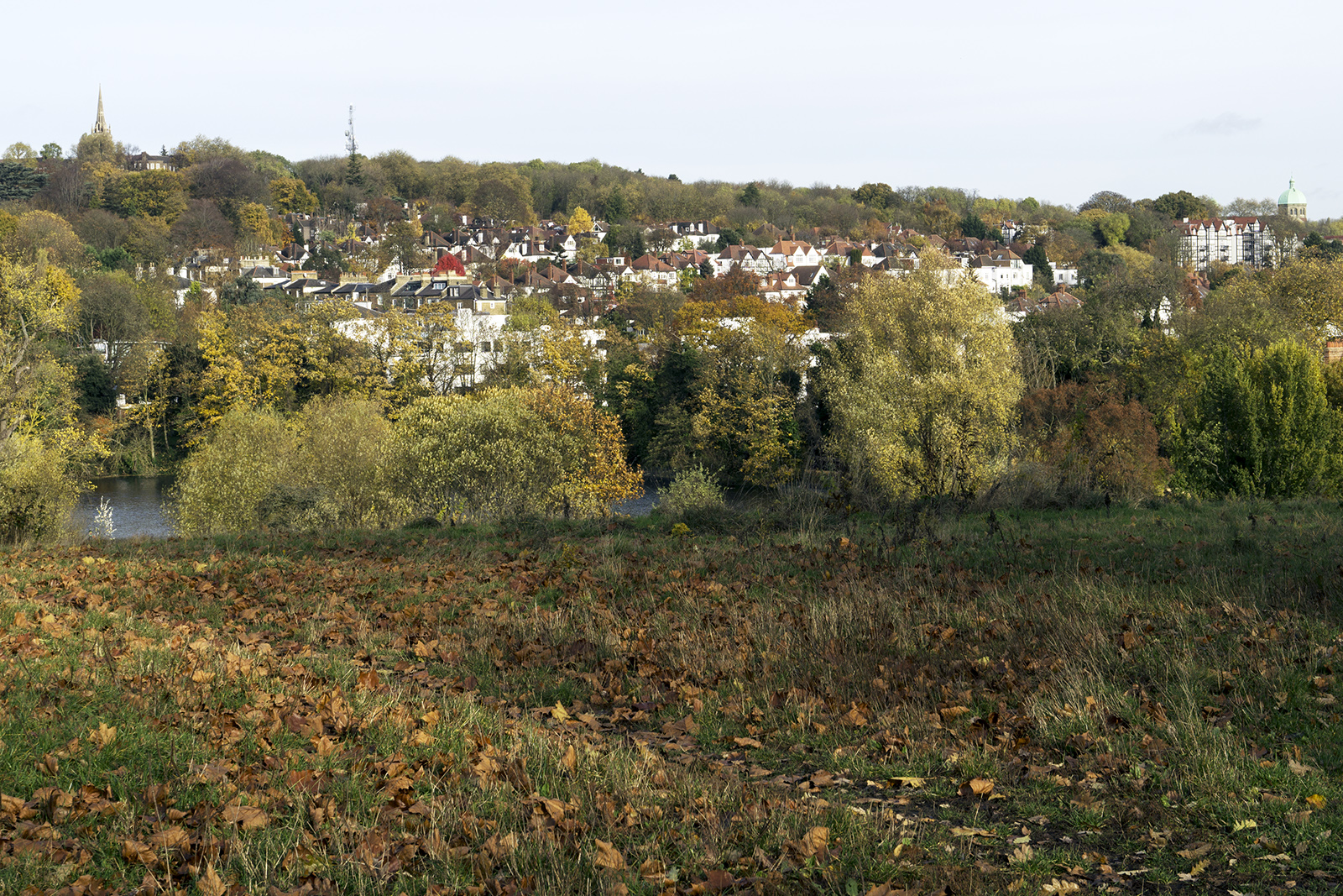 2016-11-16-Camden_Landscape_Autumn_Heath