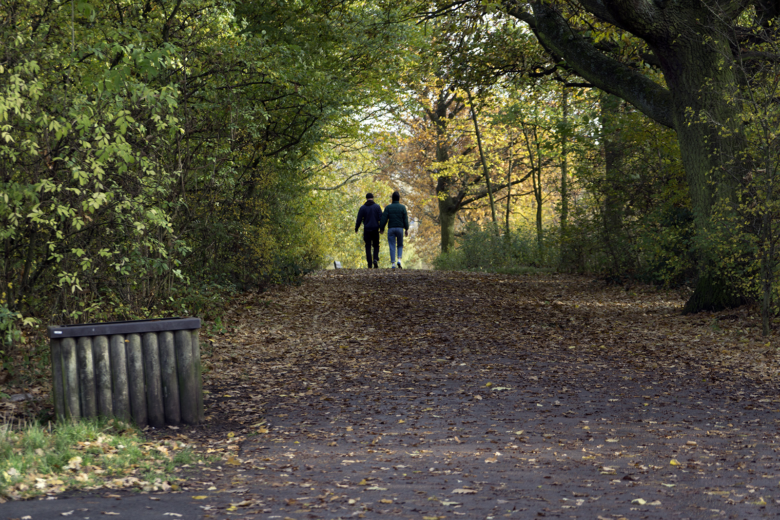 2016-11-16-Camden_People_Hampstead-Heath_Autumn-Parliament-Hill