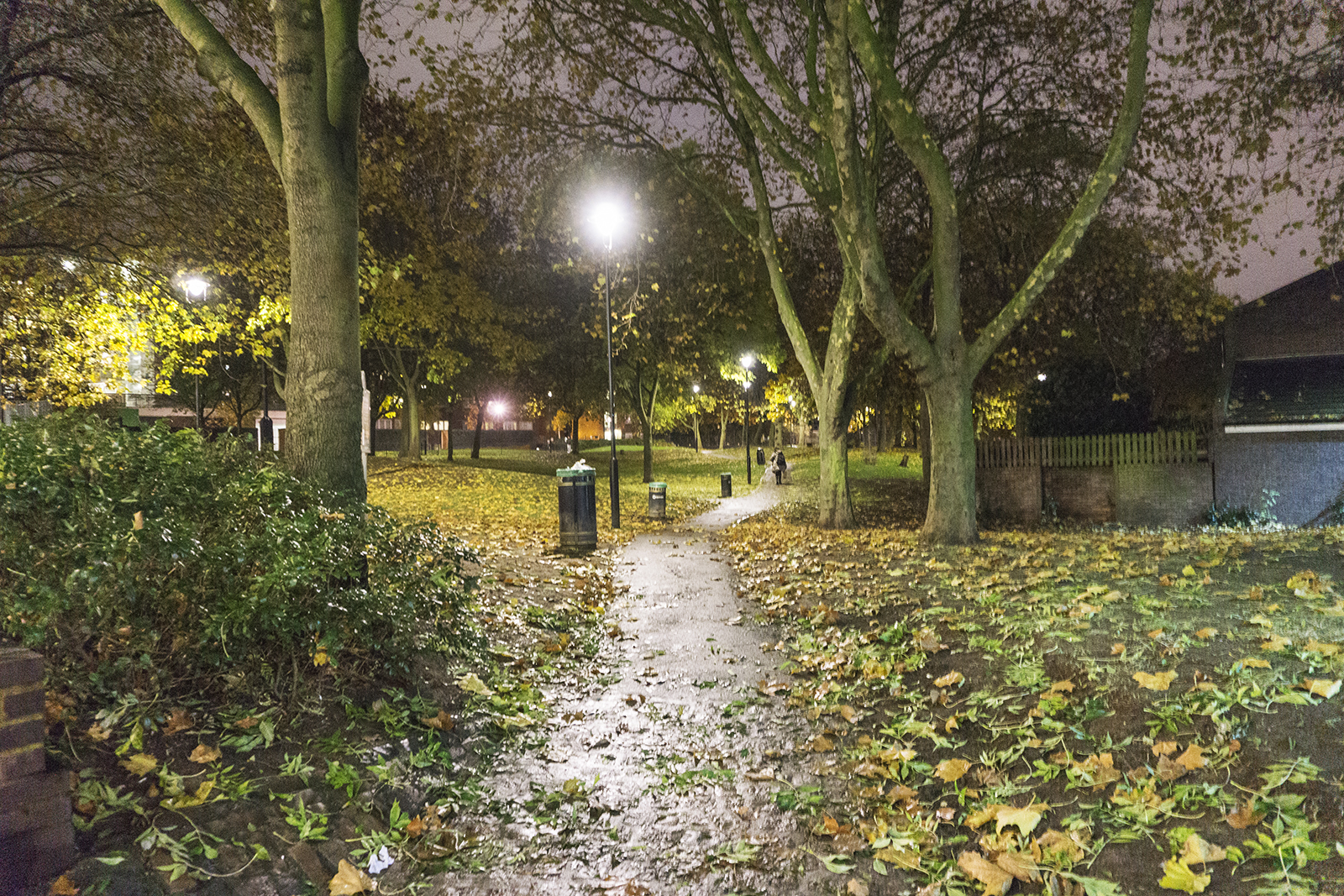 2016-11-16-Camden_Purchese-Street-Open-Space_Landscape_Autumn-Deserted