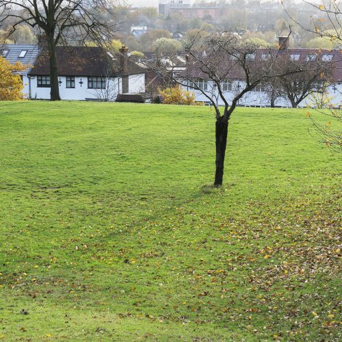 2016-11-24-Croydon_Landscape_Formal-Park_Autumn-Norwood-Grove