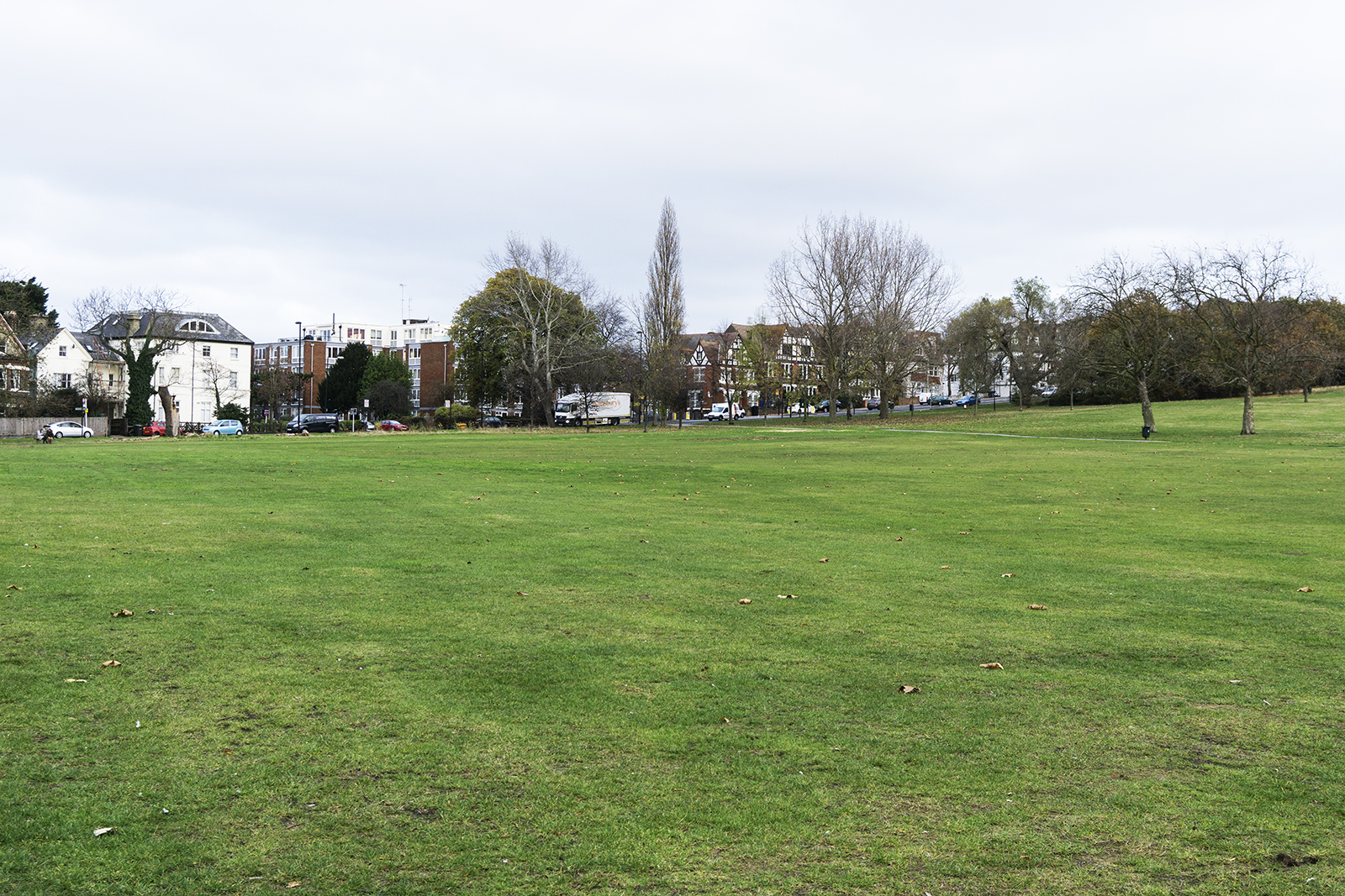 2016-11-24-Lambeth_Autumn_Open-Parklands_Landscape-Streatham-Common