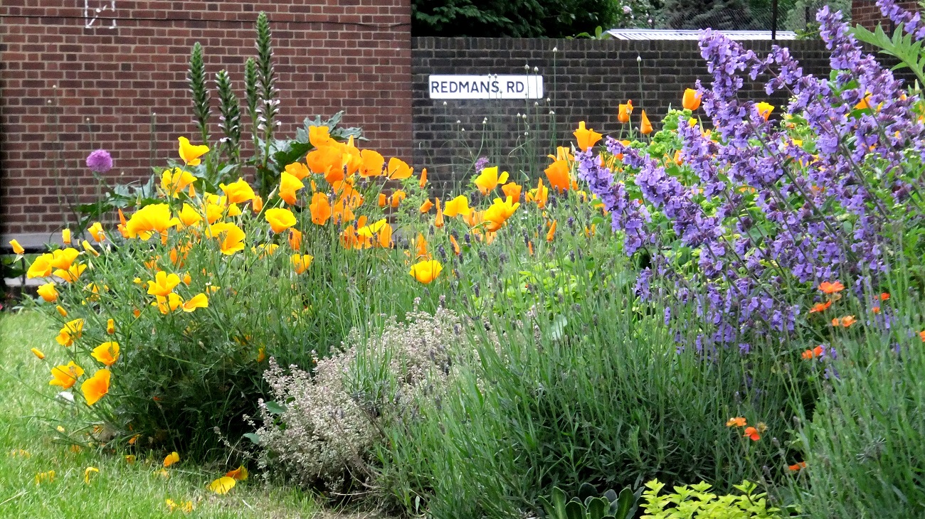 20160530_Tower-Hamlets_Redmans-Road_Floral-Display