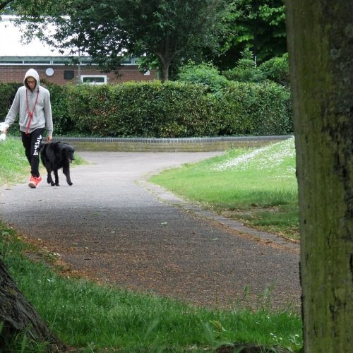 20160530_Tower-Hamlets_Stepney-Green-Park_One-Man-Walking-His-Dog