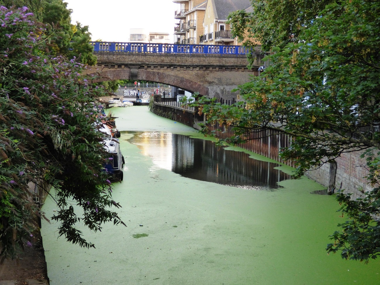 20160816_Tower-Hamlets_Nelsons-Wharf_View-of-Nelsons-Wharf