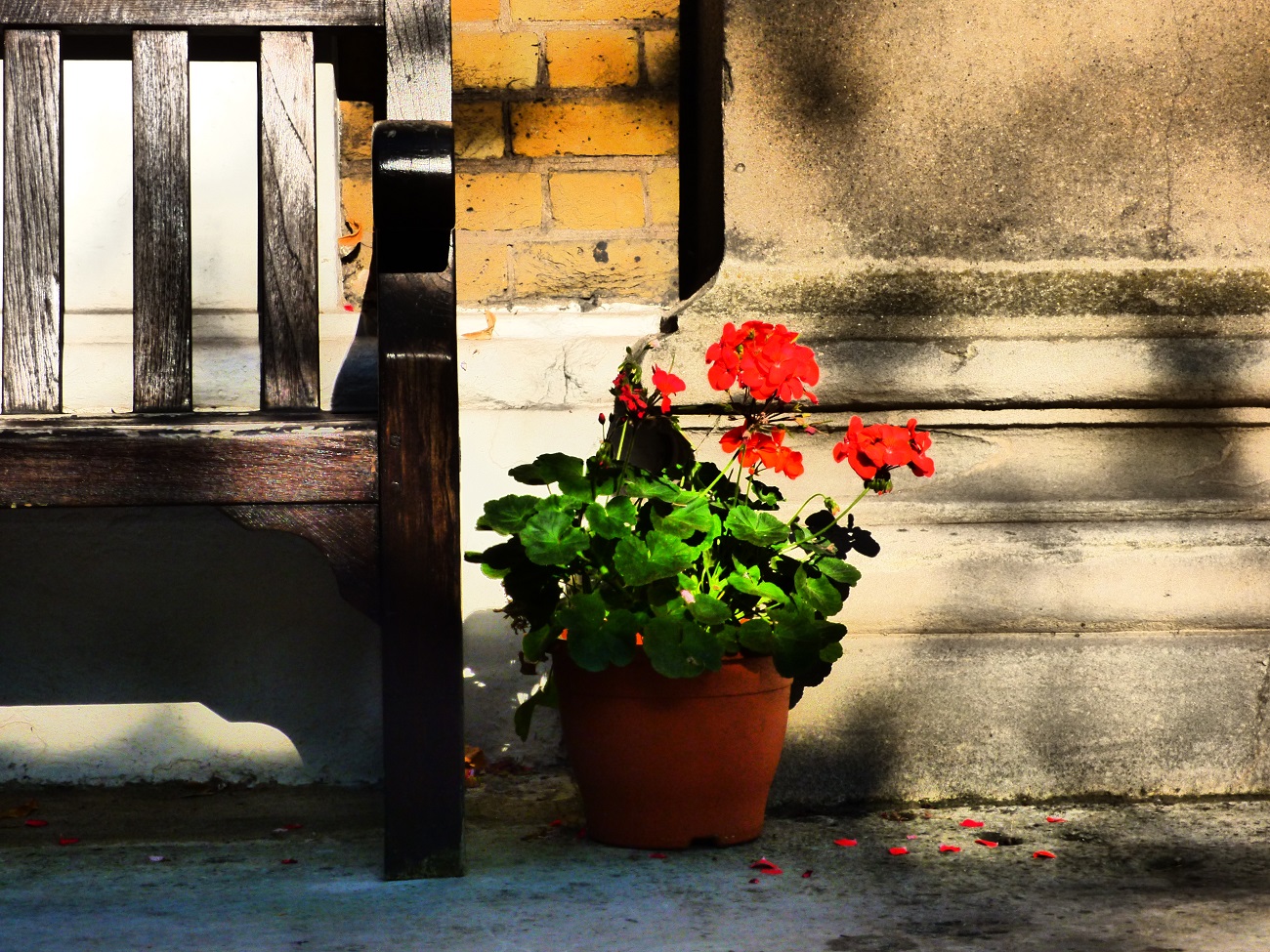 20160817_Tower-Hamlets_St-Pauls-Shadwell_Bench-and-Pot-Plant