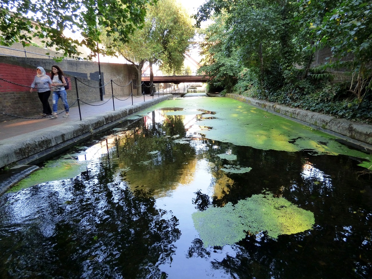 20160817_Tower-Hamlets_Wapping-Woods_Reflection-on-the-stream