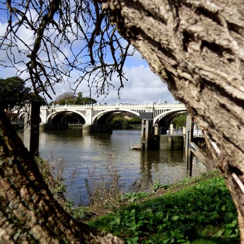 20160925_Richmond-Borough_Richmond-Lock_Bridge-through-the-Tree