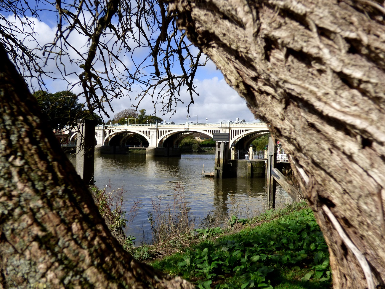 20160925_Richmond-Borough_Richmond-Lock_Bridge-through-the-Tree