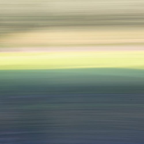 20161005_greenwich_tarn-bird-sanctuary_its-a-blur1