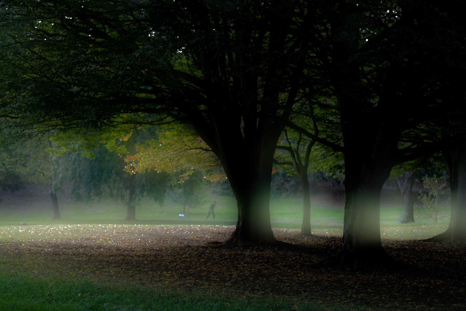 20161023_Camden_WaterlowPark_MichaelColman_AutumnLeaves-1