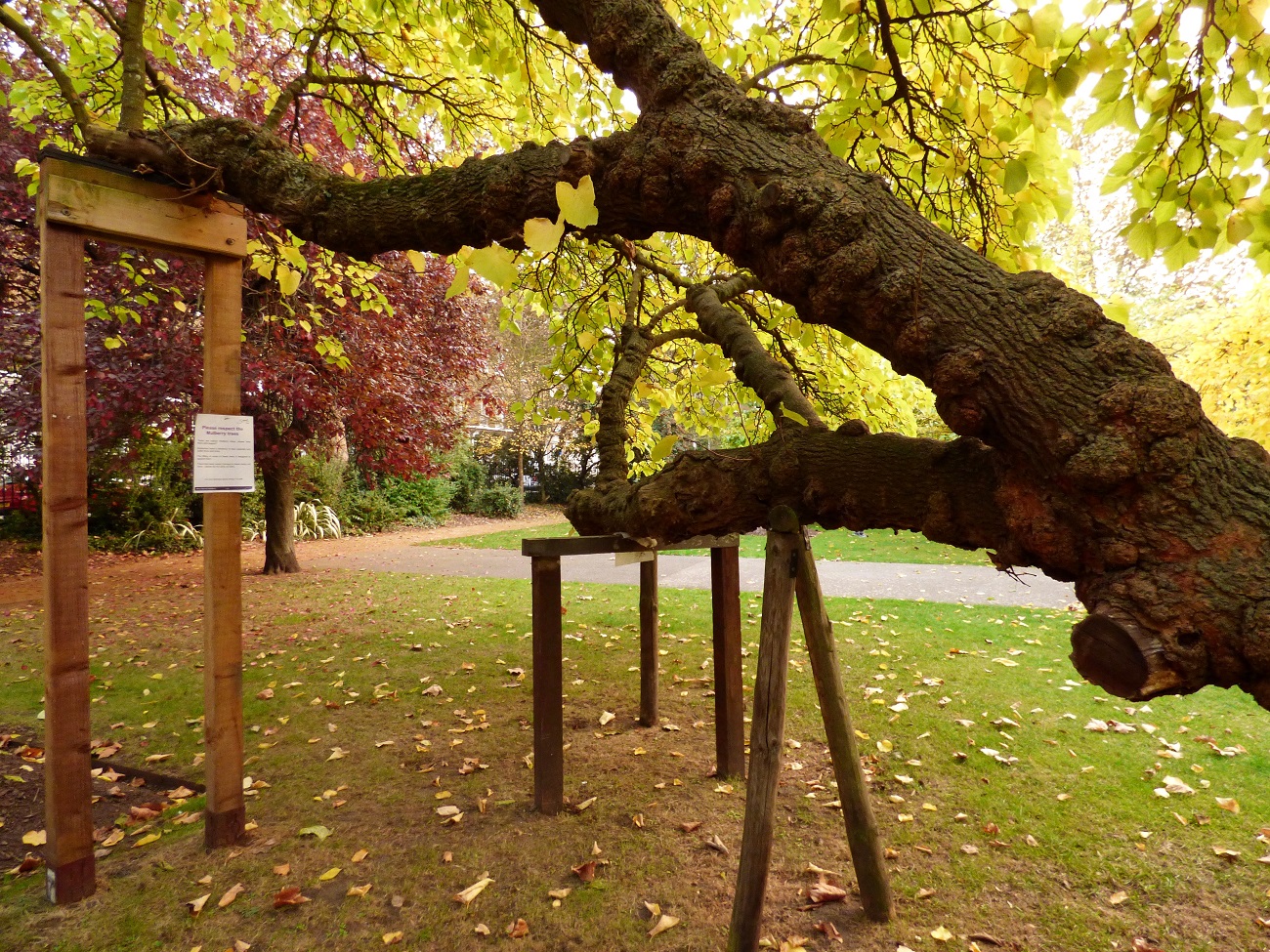 20161025_Southwark_West-Square-Gardens_Resting-Place-for-the-Trees