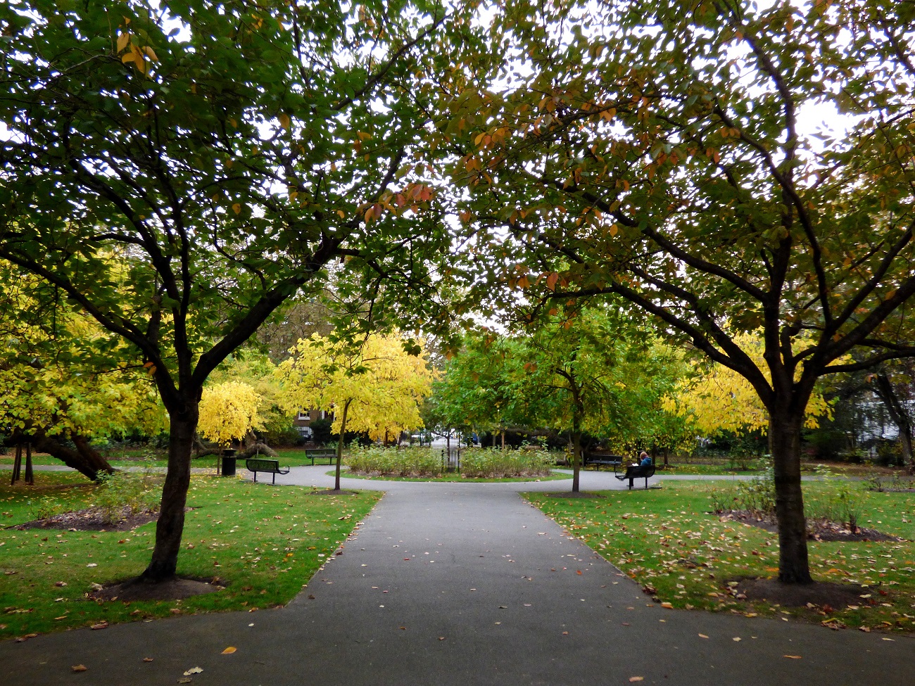 20161025_Southwark_West-Square-Gardens_West-Square-Gardens