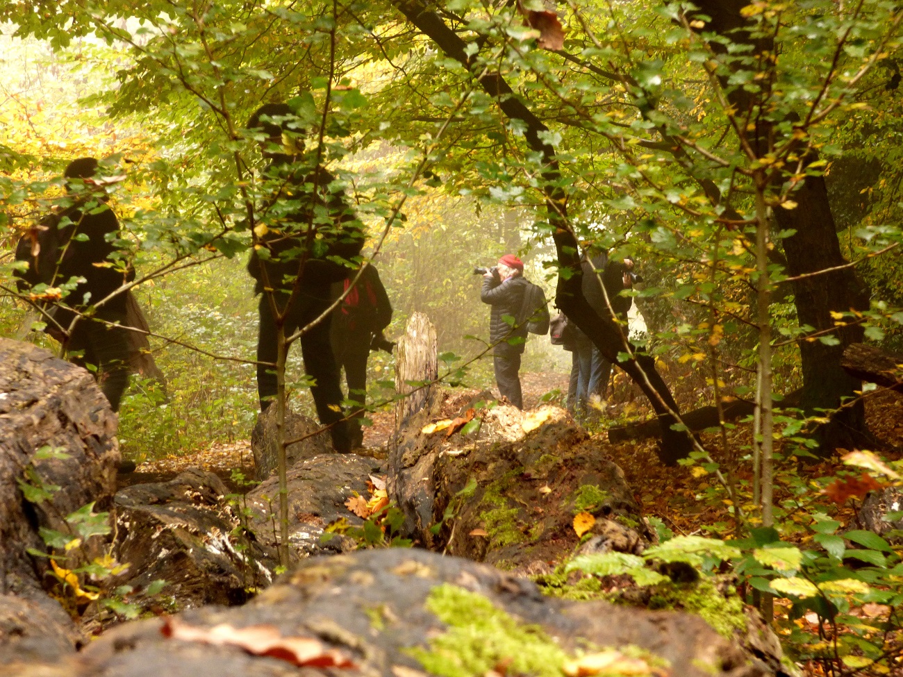 20161030_Haringey_Queens-Wood_Shooters-In-The-Woods