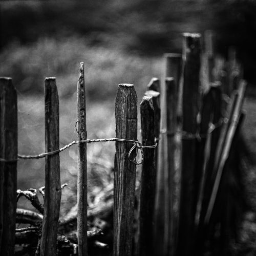 20161030_Haringey_Queens_Wood_Fence