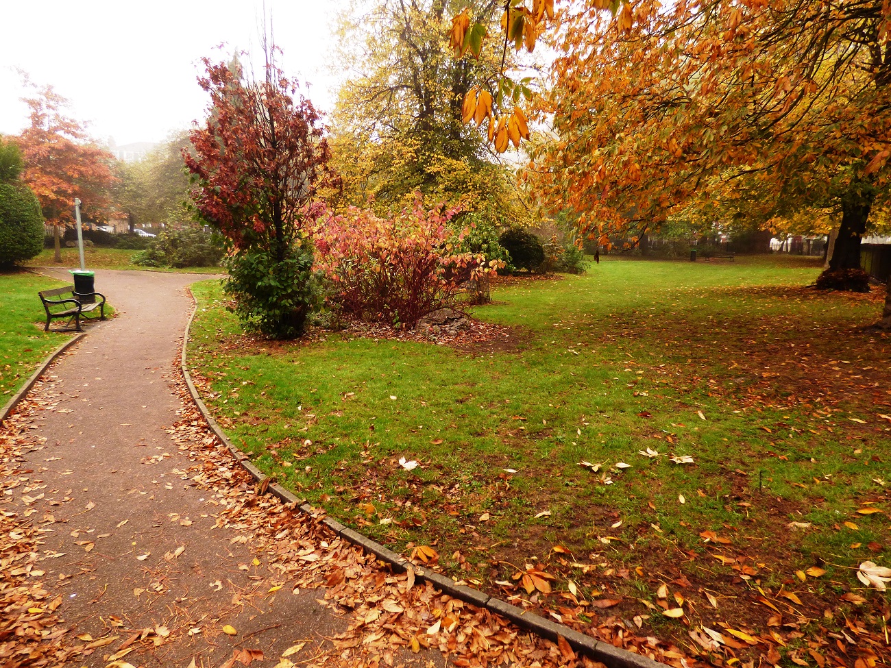 20161030_Islington_Canonbury-Gardens_Canonbury-Gardens