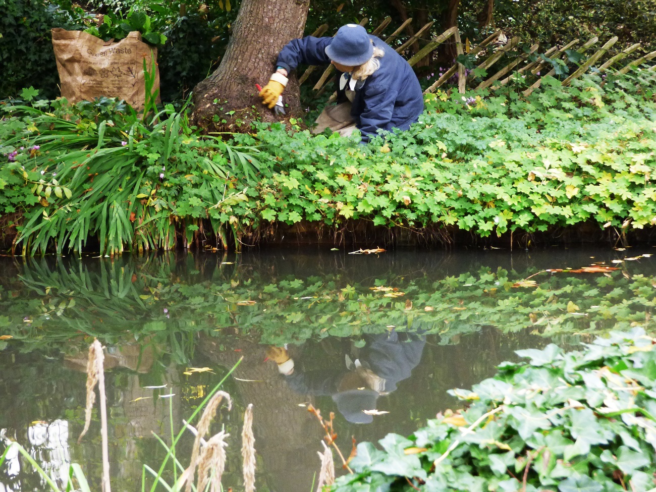 20161030_Islington_New-River-Walk_Privately-Pruning