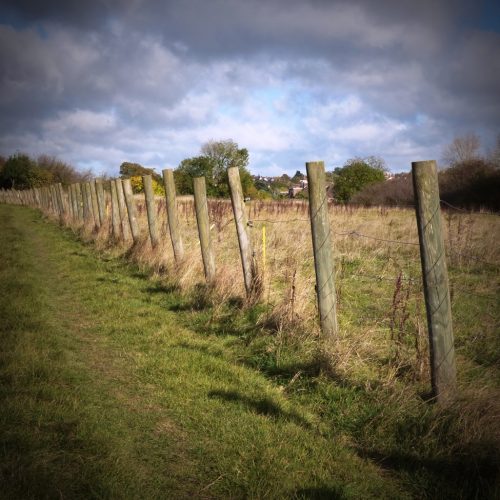 20161107_Brent_Fryent-Country-Park_Fencing