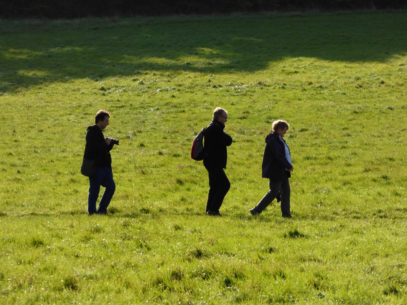 20161107_Brent_Fryent-Country-Park_The-Three-Museteers