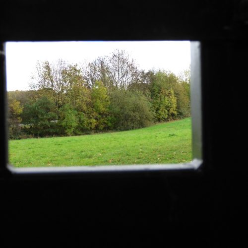 20161107_Brent_Fryent-Country-Park_Through-the-Square-Window
