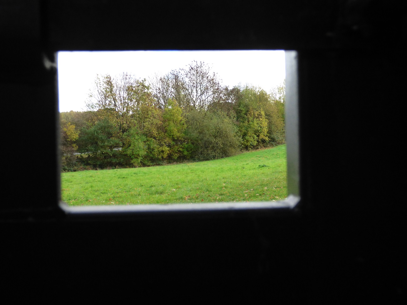 20161107_Brent_Fryent-Country-Park_Through-the-Square-Window