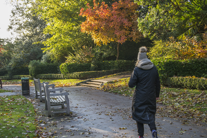 20161111_Camden_Waterlow-Park_Wintry-afternnon