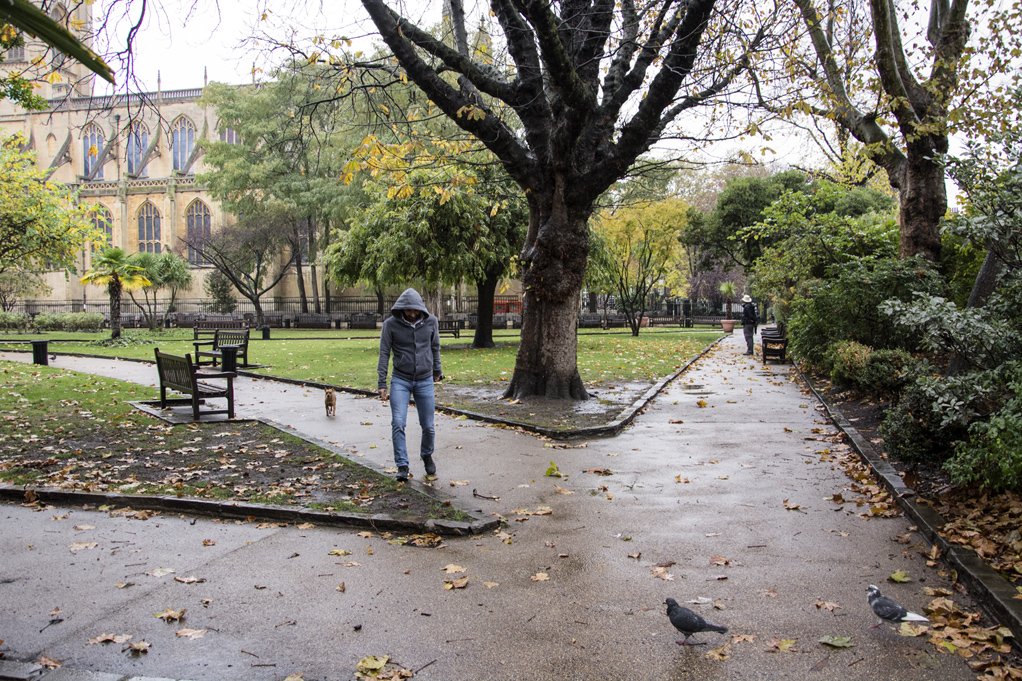 20161112_Kensingron-_St-Lukes-Gardens_Miserable-wintry-day