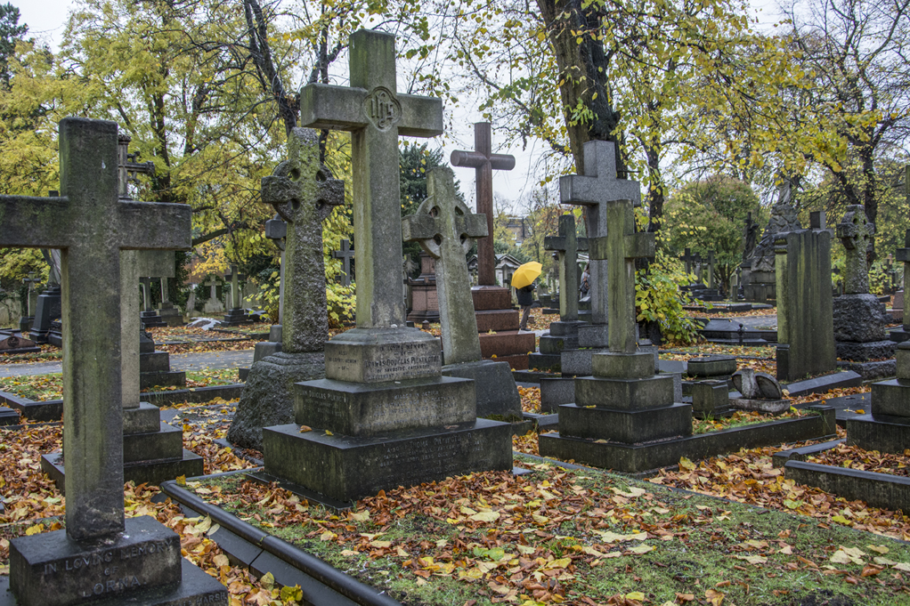 20161112_Kensington_-Brompton-Cemetery-_Place-to-contemplate