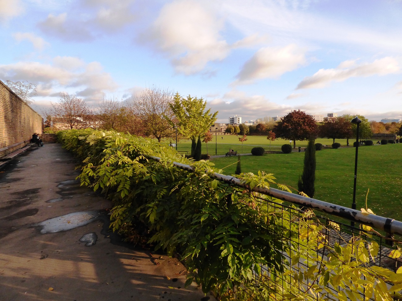 20161113_Hackney_Haggerston-Park_Rooftop-Parade