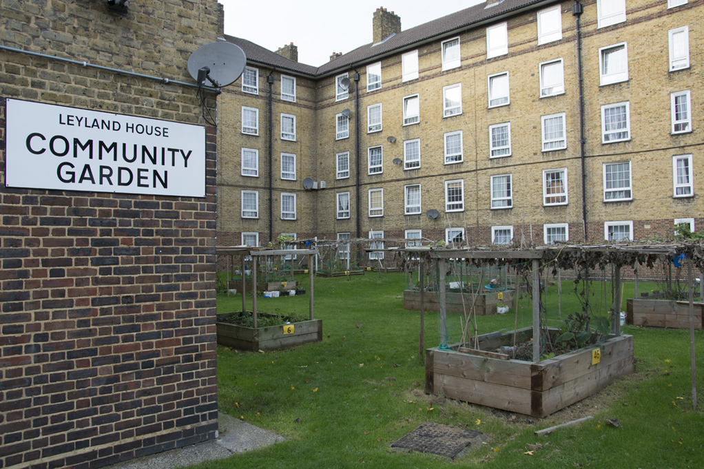 20161117_Tower-Hamlets_-Hale-Street_-Community-Garden