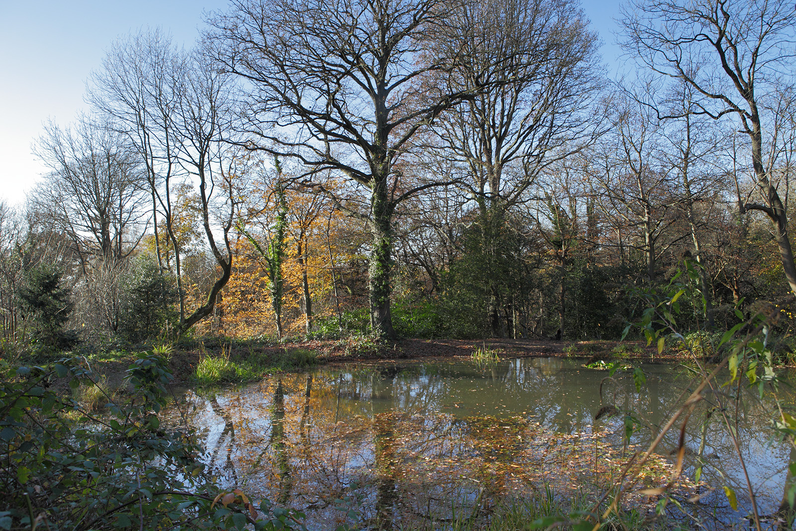 20161128_Croydon_Bramley-Bank_The-pond1