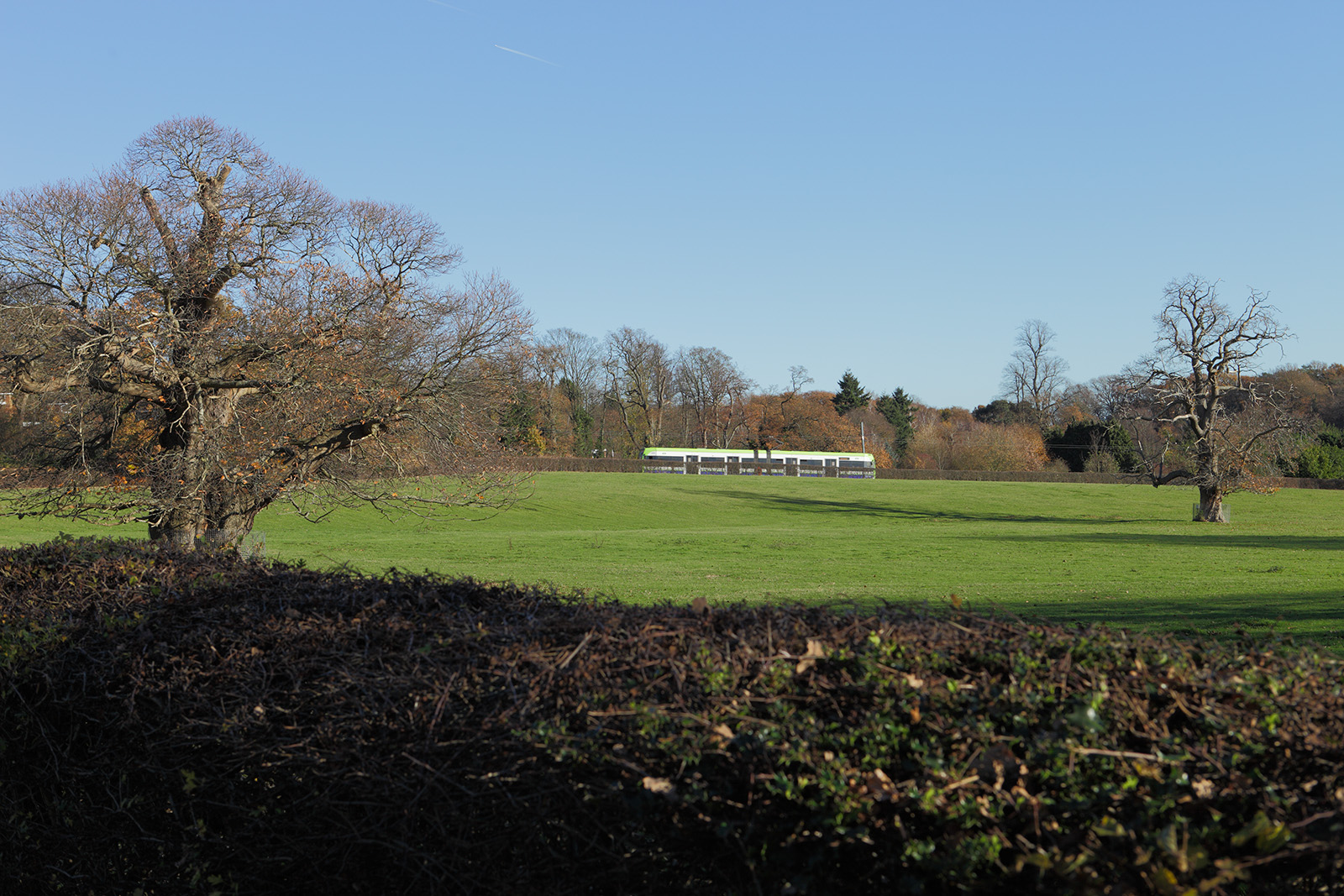 20161128_Croydon_Heathfield_Passing-tram