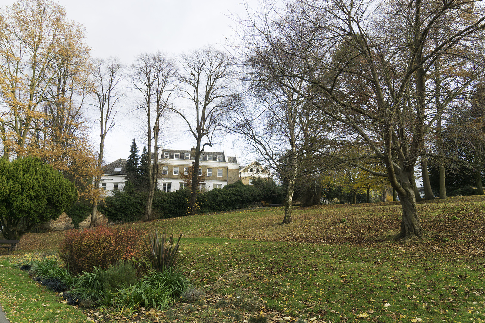 23016-11-24-Croydon_Landscape_Formal-Park_Autumn-Westow-Park